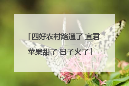 四好农村路通了 宜君苹果甜了 日子火了