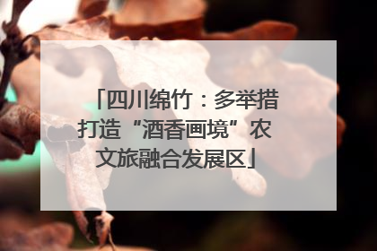 四川绵竹：多举措打造“酒香画境”农文旅融合发展区