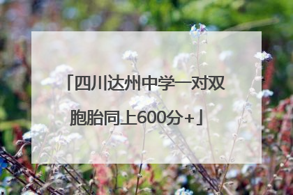 四川达州中学一对双胞胎同上600分+