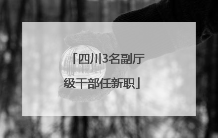 四川3名副厅级干部任新职