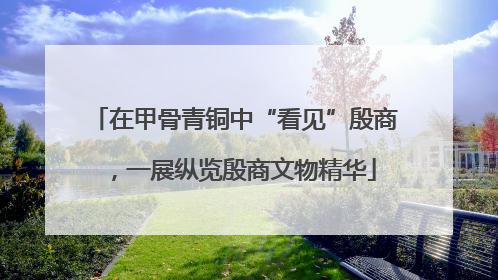在甲骨青铜中“看见”殷商，一展纵览殷商文物精华
