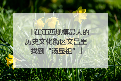 在江西规模最大的历史文化街区文昌里找到“汤显祖”