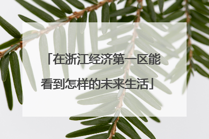 在浙江经济第一区能看到怎样的未来生活