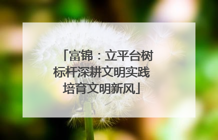 富锦：立平台树标杆深耕文明实践培育文明新风
