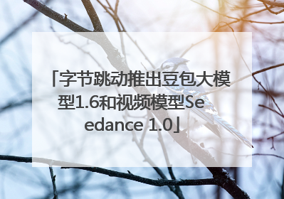 字节跳动推出豆包大模型1.6和视频模型Seedance 1.0