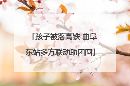 孩子被落高铁 曲阜东站多方联动助团圆