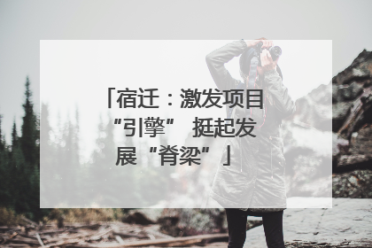 宿迁：激发项目“引擎” 挺起发展“脊梁”