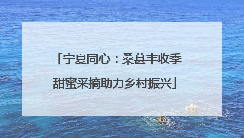 宁夏同心：桑葚丰收季 甜蜜采摘助力乡村振兴