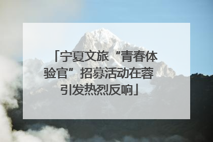 宁夏文旅“青春体验官”招募活动在蓉引发热烈反响