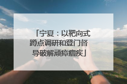 宁夏：以靶向式蹲点调研和登门督导破解顽瘴痼疾