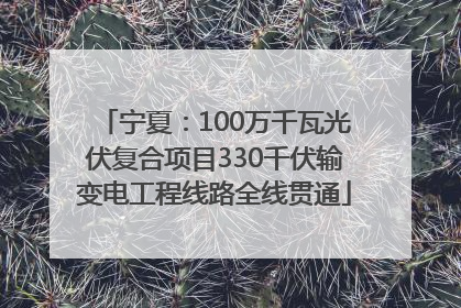 宁夏：100万千瓦光伏复合项目330千伏输变电工程线路全线贯通