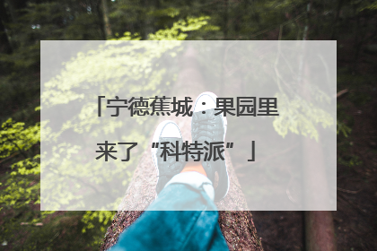 宁德蕉城：果园里来了“科特派”