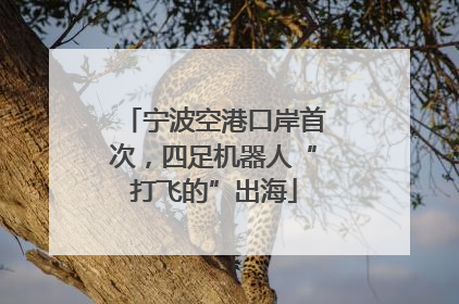 宁波空港口岸首次，四足机器人“打飞的”出海