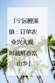 宁远鲤溪镇：订单农业兴大观 时蔬鲜香富山乡