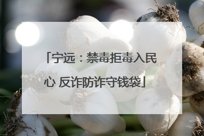 宁远：禁毒拒毒入民心 反诈防诈守钱袋