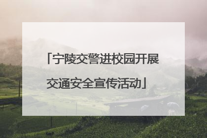 宁陵交警进校园开展交通安全宣传活动