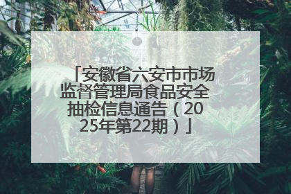 安徽省六安市市场监督管理局食品安全抽检信息通告（2025年第22期）