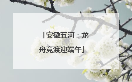 安徽五河：龙舟竞渡迎端午