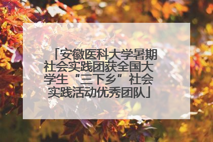 安徽医科大学暑期社会实践团获全国大学生“三下乡”社会实践活动优秀团队