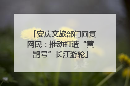安庆文旅部门回复网民：推动打造“黄鹄号”长江游轮
