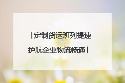 定制货运班列提速 护航企业物流畅通
