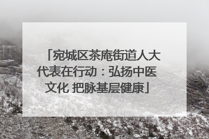 宛城区茶庵街道人大代表在行动：弘扬中医文化 把脉基层健康