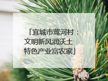 宜城市莺河村：文明新风润沃土 特色产业富农家