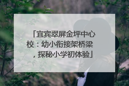 宜宾翠屏金坪中心校：幼小衔接架桥梁，探秘小学初体验