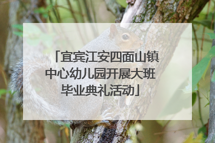 宜宾江安四面山镇中心幼儿园开展大班毕业典礼活动