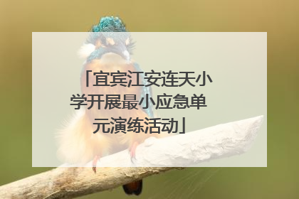宜宾江安连天小学开展最小应急单元演练活动