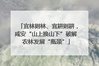 宜林则林、宜耕则耕，咸安“山上换山下”破解农林发展“瓶颈”