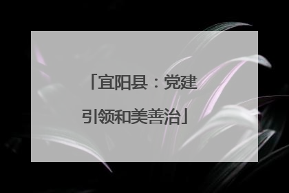 宜阳县：党建引领和美善治