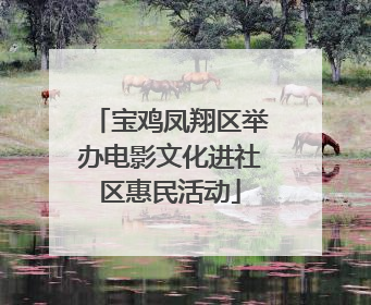 宝鸡凤翔区举办电影文化进社区惠民活动