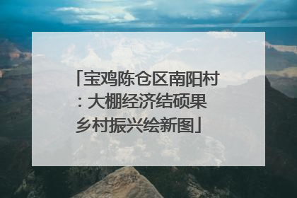 宝鸡陈仓区南阳村：大棚经济结硕果 乡村振兴绘新图