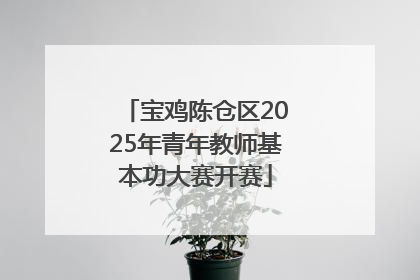 宝鸡陈仓区2025年青年教师基本功大赛开赛