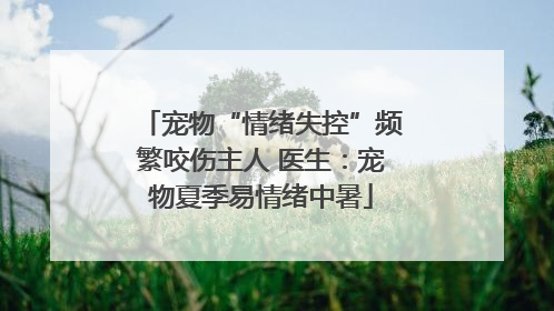 宠物“情绪失控”频繁咬伤主人 医生：宠物夏季易情绪中暑