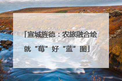 宣城旌德：农旅融合绘就“莓”好“蓝”图