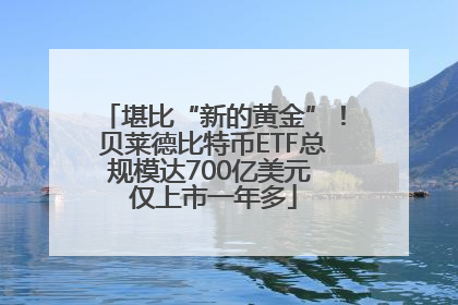 堪比“新的黄金”！贝莱德比特币ETF总规模达700亿美元 仅上市一年多
