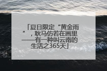 夏日限定“黄金雨”，耿马仿若在画里——有一种叫云南的生活之365天