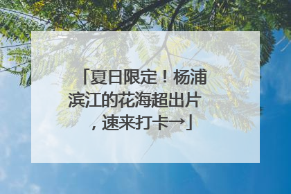 夏日限定！杨浦滨江的花海超出片，速来打卡→
