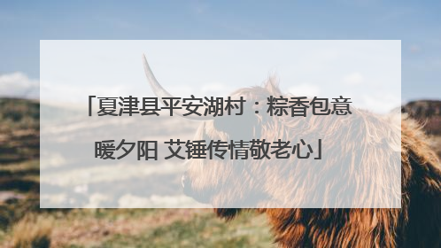 夏津县平安湖村：粽香包意暖夕阳 艾锤传情敬老心