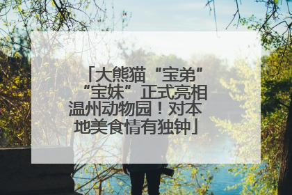大熊猫“宝弟”“宝妹”正式亮相温州动物园！对本地美食情有独钟