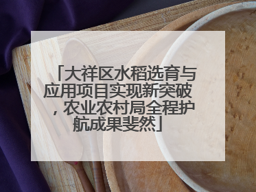 大祥区水稻选育与应用项目实现新突破，农业农村局全程护航成果斐然