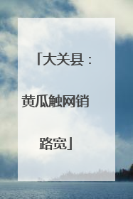 大关县：黄瓜触网销路宽