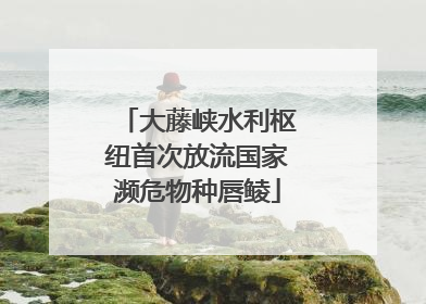 大藤峡水利枢纽首次放流国家濒危物种唇鲮
