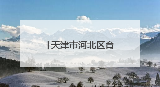 天津市河北区育婴里小学国际象棋共建基地启航