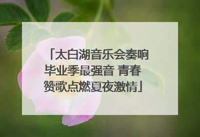 太白湖音乐会奏响毕业季最强音 青春赞歌点燃夏夜激情