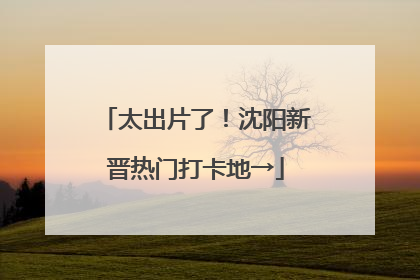太出片了！沈阳新晋热门打卡地→