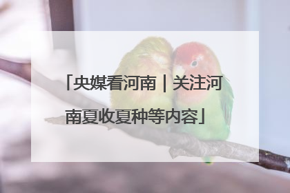 央媒看河南｜关注河南夏收夏种等内容