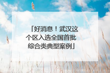 好消息！武汉这个区入选全国首批综合类典型案例